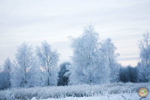 Зима в Русилово