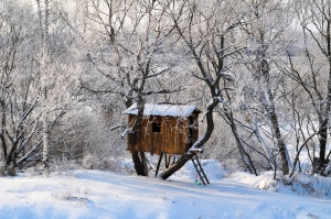 База отдыха область Русилово зимой